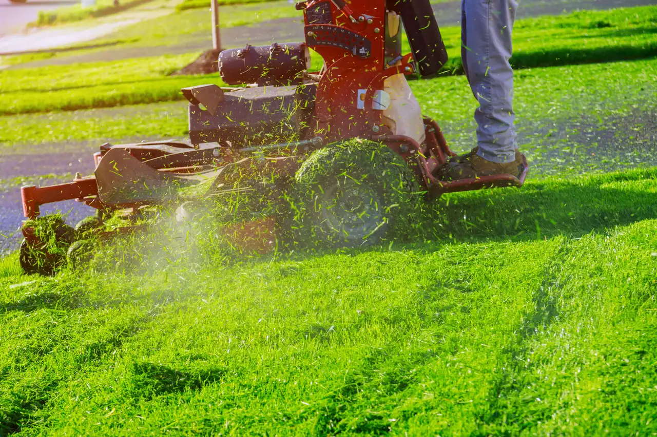 Stand-on mower cutting green grass during Centerton lawn mowing service