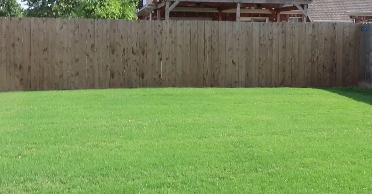 Weed-Free Lawn