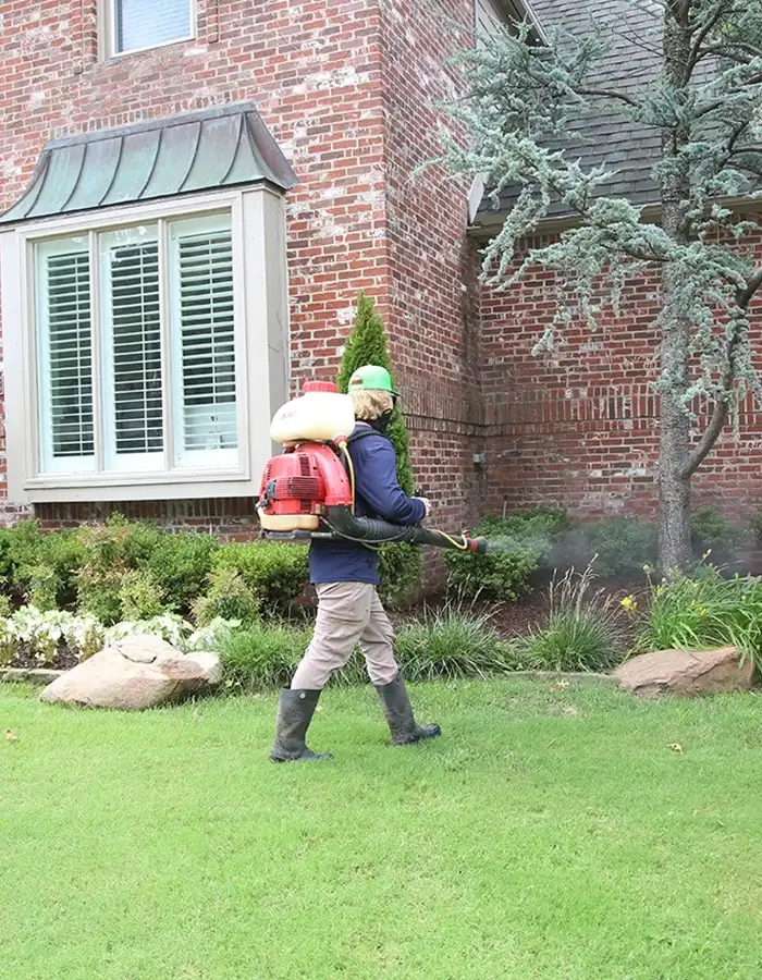 Mosquito Control